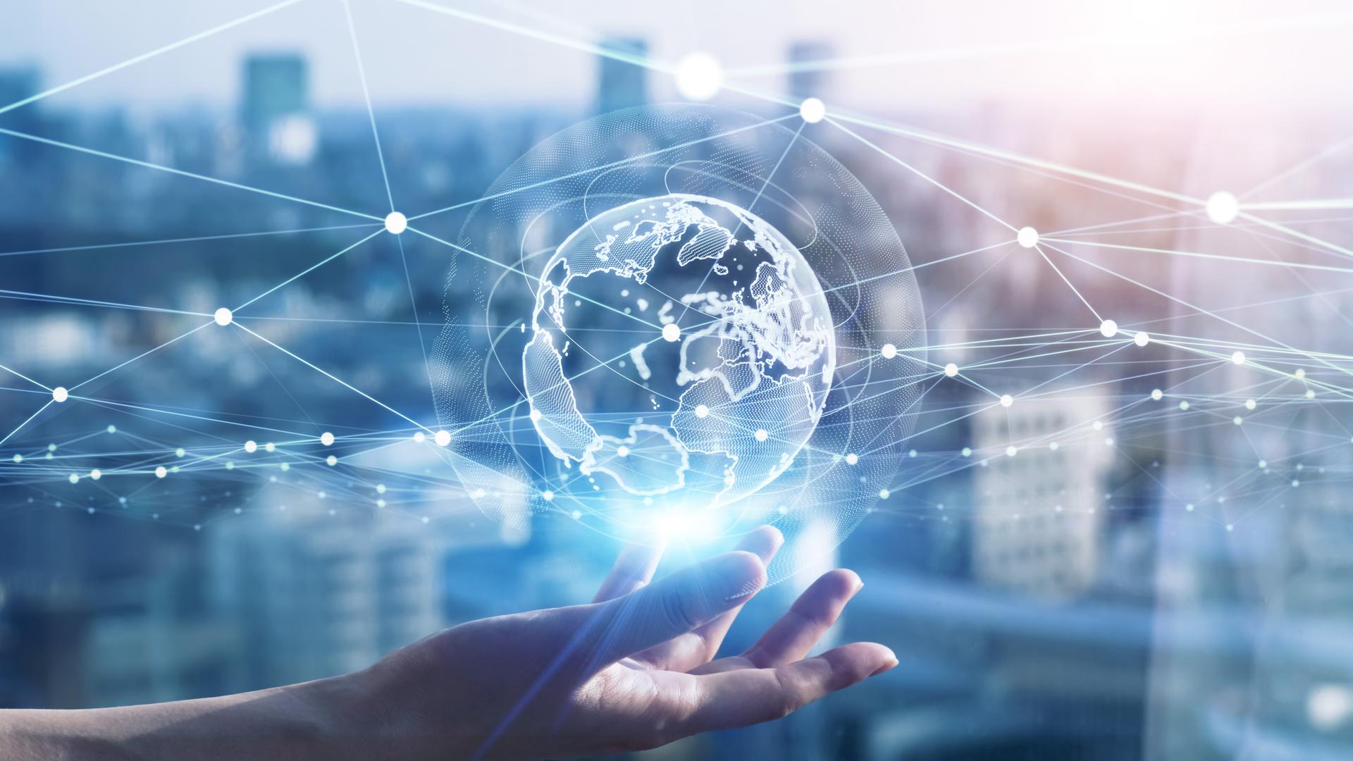 Wireless network management and support for businesses